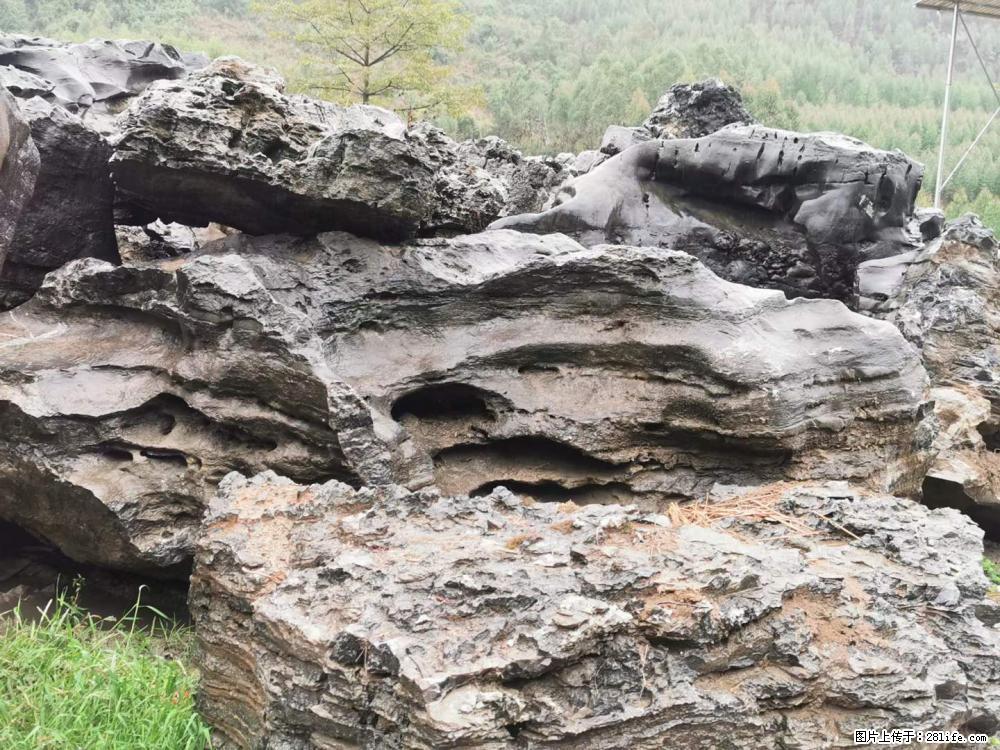 风景石、假山石大量有货，有需要的欢迎联系 - 新手上路 - 玉林生活社区 - 玉林28生活网 yulin.28life.net