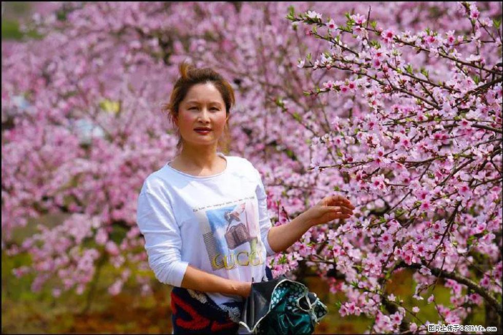 【春天，广西桂林灌阳县向您发出邀请！】官庄村有个醉美的桃花园 - 游山玩水 - 玉林生活社区 - 玉林28生活网 yulin.28life.net