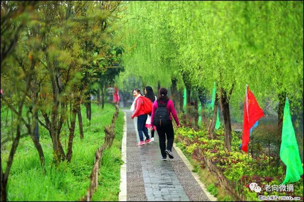 【春天，广西桂林灌阳县向您发出邀请！】江口老街又逢春 - 游山玩水 - 玉林生活社区 - 玉林28生活网 yulin.28life.net