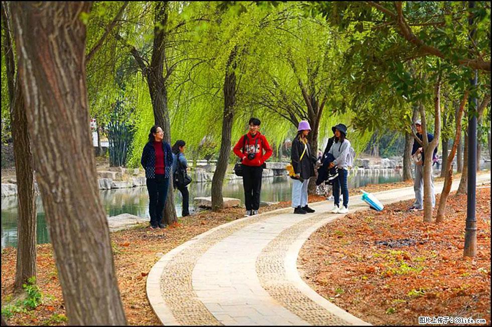 【春天，广西桂林灌阳县向您发出邀请！】江口老街又逢春 - 游山玩水 - 玉林生活社区 - 玉林28生活网 yulin.28life.net