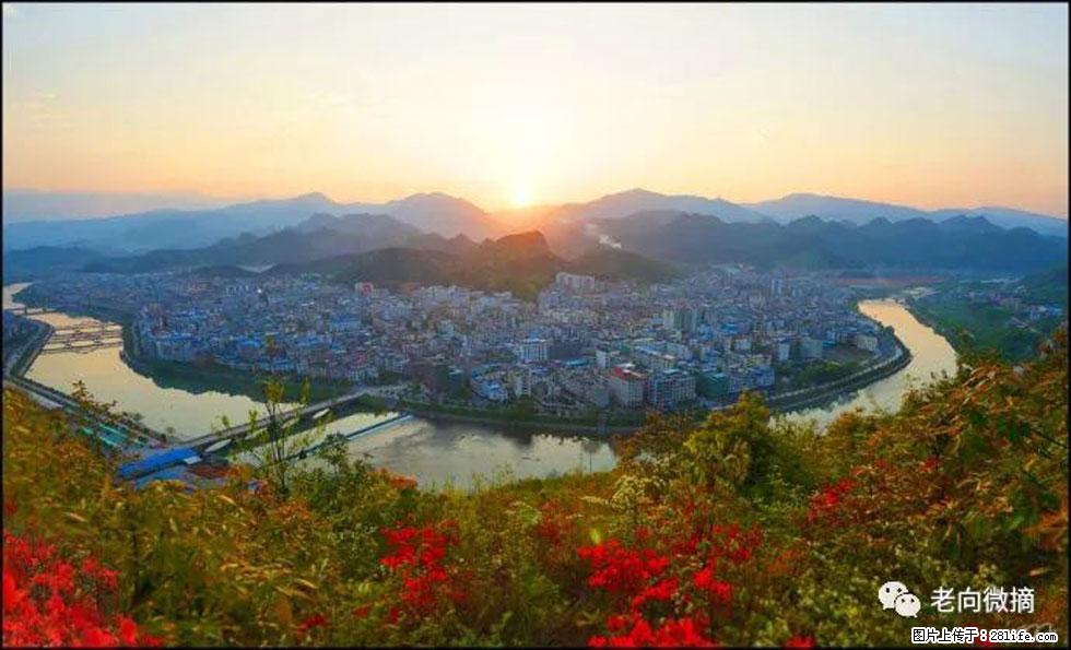 【春天，广西桂林灌阳县向您发出邀请！】登麒麟山，相约映山红 - 游山玩水 - 玉林生活社区 - 玉林28生活网 yulin.28life.net