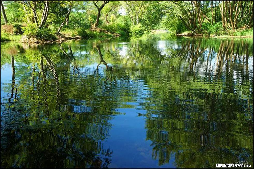 【春天，广西桂林灌阳县向您发出邀请！】熊家寨湿地公园 - 游山玩水 - 玉林生活社区 - 玉林28生活网 yulin.28life.net