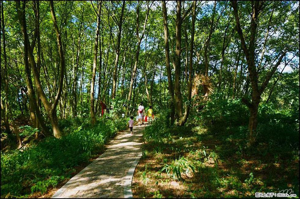 【春天，广西桂林灌阳县向您发出邀请！】熊家寨湿地公园 - 游山玩水 - 玉林生活社区 - 玉林28生活网 yulin.28life.net