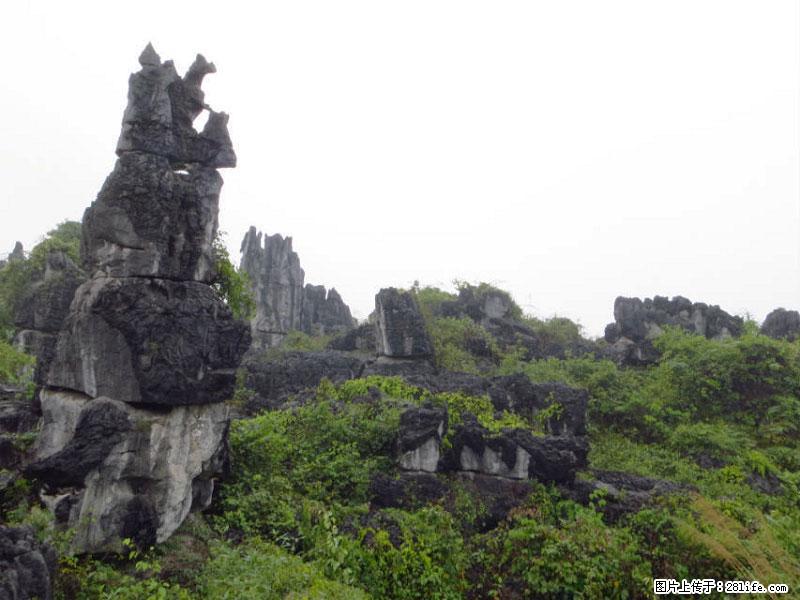桂林旅游名城景点：灌阳文市石林 - 游山玩水 - 玉林生活社区 - 玉林28生活网 yulin.28life.net