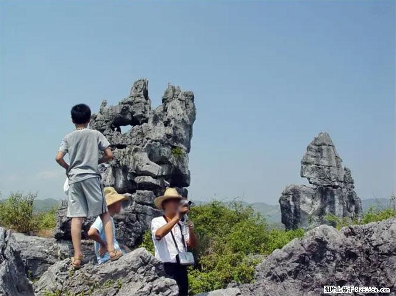 桂林旅游名城景点：灌阳文市石林 - 游山玩水 - 玉林生活社区 - 玉林28生活网 yulin.28life.net