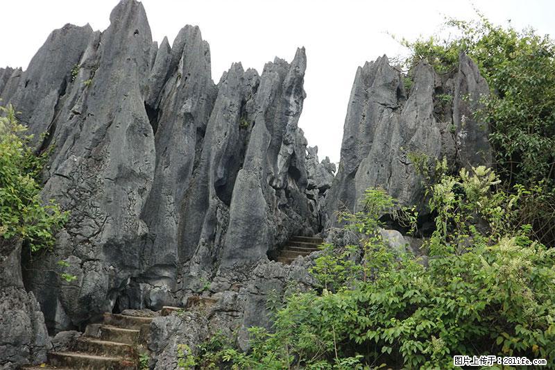 桂林旅游名城景点：灌阳文市石林 - 游山玩水 - 玉林生活社区 - 玉林28生活网 yulin.28life.net