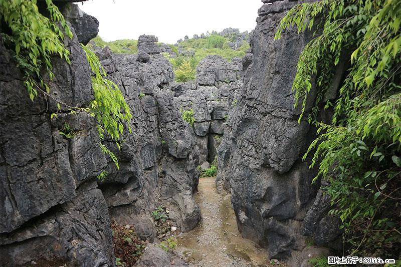 桂林旅游名城景点：灌阳文市石林 - 游山玩水 - 玉林生活社区 - 玉林28生活网 yulin.28life.net