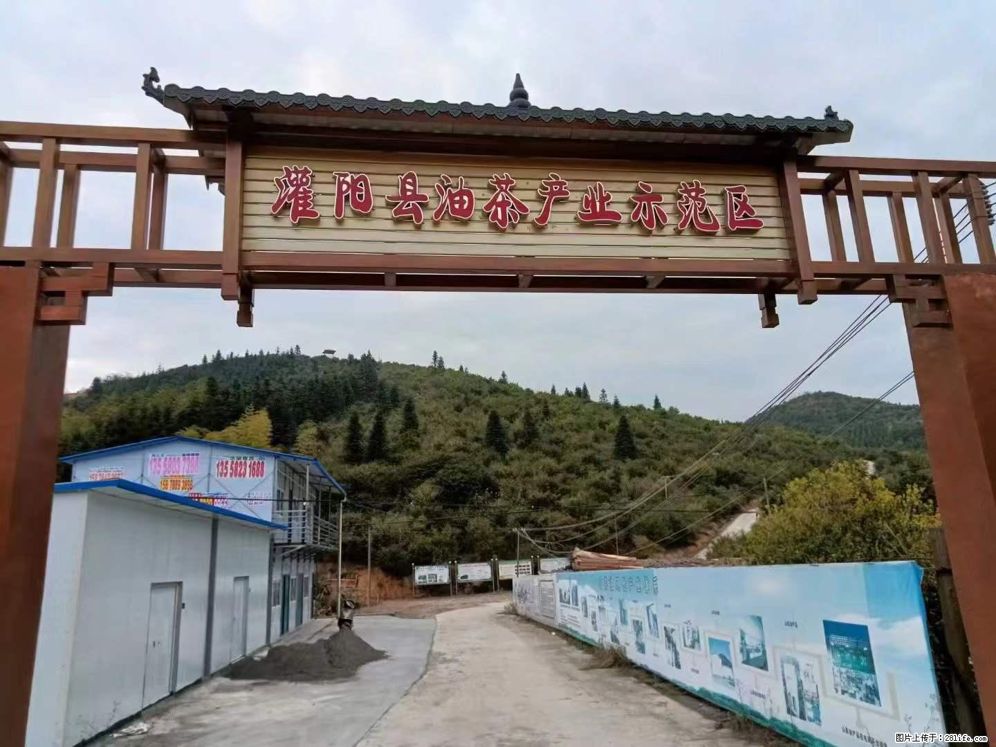 【灌阳县油茶产业示范区】一个有着充实的精神生活的人，对待身外之物自会有一种淡泊的态度 - 美食天地 - 玉林生活社区 - 玉林28生活网 yulin.28life.net
