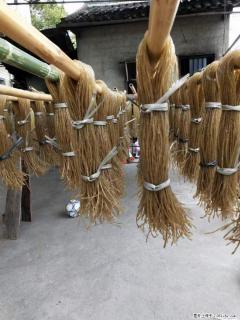 【灌阳正宗红薯粉】美女家里自己做的，干净卫生，假一赔十，价格合理，抢购电话：13737312895 - 玉林28生活网 yulin.28life.net