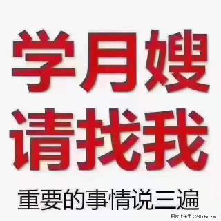 为什么要学习月嫂，育婴师？ - 玉林28生活网 yulin.28life.net