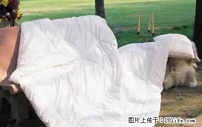 被子有异味？只要这样做，比晒太阳还强100倍！ - 家居生活 - 玉林生活社区 - 玉林28生活网 yulin.28life.net