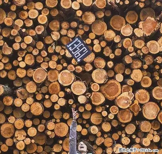 辞掉工作周游世界？现在他们在洗厕所…… - 游山玩水 - 玉林生活社区 - 玉林28生活网 yulin.28life.net