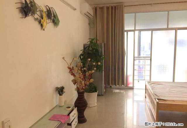 南江大润发旁 中环大厦 精装修一厅一房 1000/月 急租 - 房屋出租 - 房屋租售 - 玉林分类信息 - 玉林28生活网 yulin.28life.net