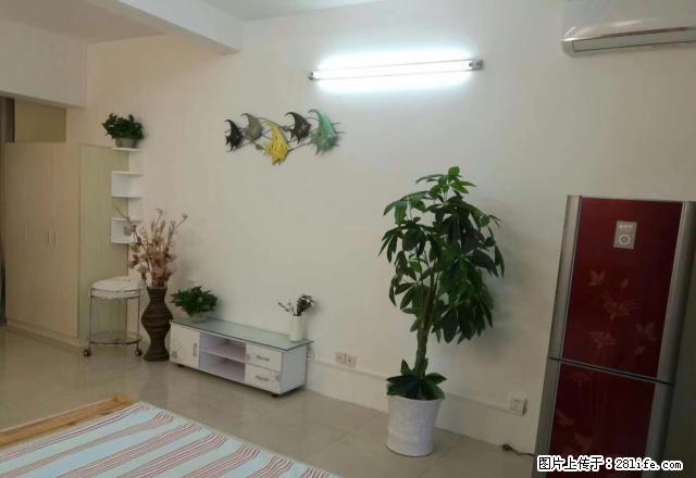 中环大厦1厅1房精装修家电全新每月1000 - 房屋出租 - 房屋租售 - 玉林分类信息 - 玉林28生活网 yulin.28life.net