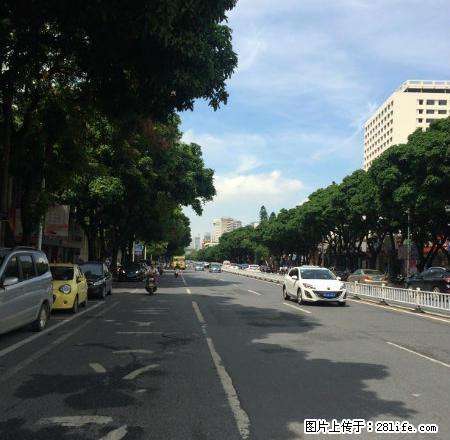 (单间出租)人民东路~旧市政府对面~农行单位小区，车位充足！ - 房屋出租 - 房屋租售 - 玉林分类信息 - 玉林28生活网 yulin.28life.net