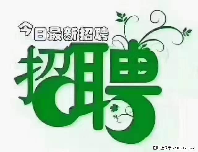 【招聘摄像师】待遇：试用期6000元/月，转正7000元/月+五险一金+餐补+节日福利+奖金 - 其他招聘信息 - 招聘求职 - 玉林分类信息 - 玉林28生活网 yulin.28life.net