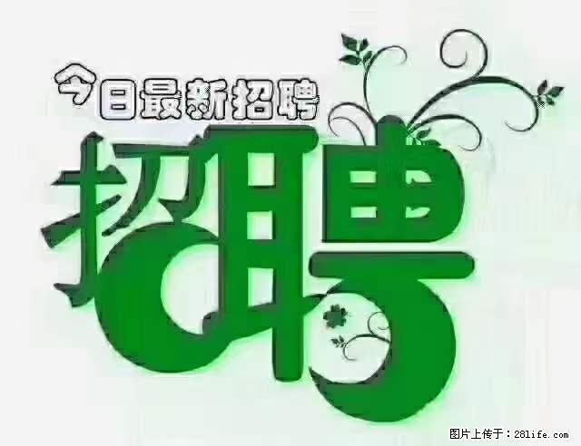 上海隔离酒店招人：55岁以下 男女不限 - 职场交流 - 玉林生活社区 - 玉林28生活网 yulin.28life.net