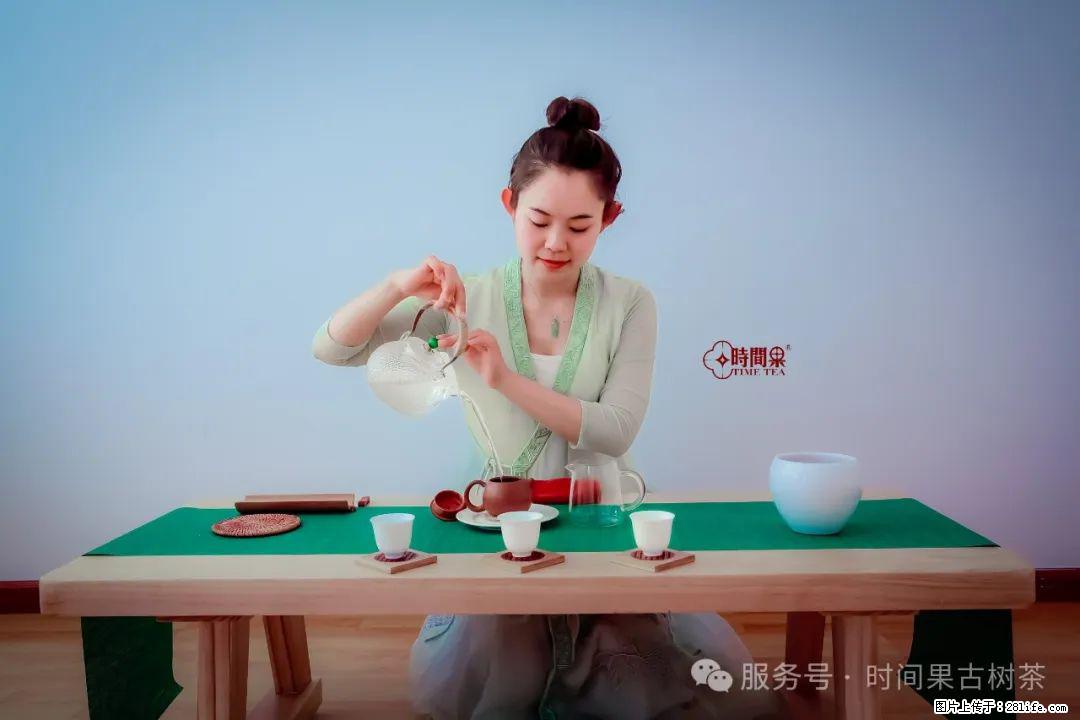 时间果百年古树龙珠普洱生茶 - 购物交流 - 玉林生活社区 - 玉林28生活网 yulin.28life.net