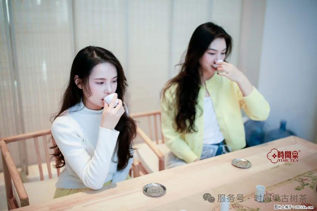 时间果百年古树龙珠普洱生茶 - 购物交流 - 玉林生活社区 - 玉林28生活网 yulin.28life.net