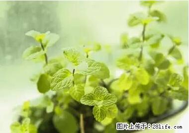 晕车、脚气、牙齿变黄、皮肤粗糙？学会这些三分钟搞定！ - 玉林生活资讯 - 玉林28生活网 yulin.28life.net