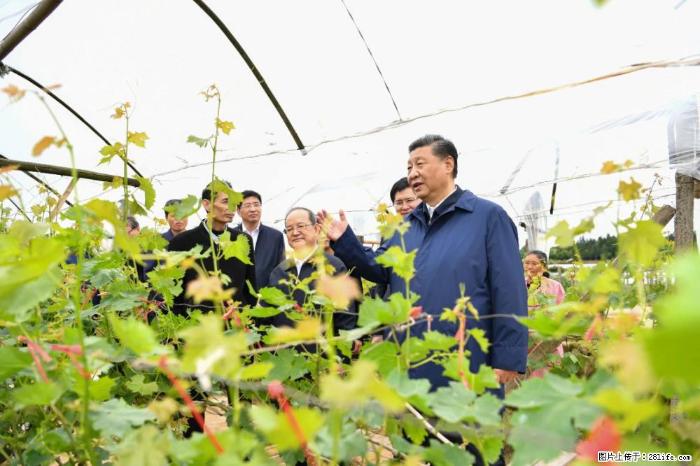 习近平赴广西考察调研 - 玉林生活资讯 - 玉林28生活网 yulin.28life.net