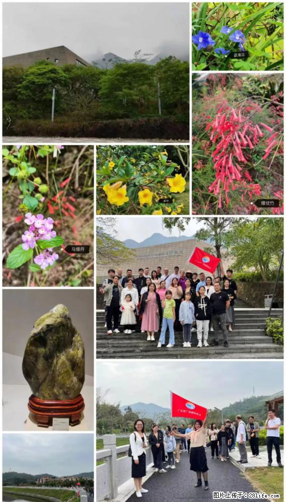 “粤灌文化 美好生活”油茶文化主题活动在广东深圳成功举办 - 玉林生活资讯 - 玉林28生活网 yulin.28life.net