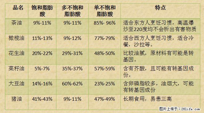 揭秘茶油的5大核心营养成分！被称为人体健康的“守护盾”！ - 玉林生活资讯 - 玉林28生活网 yulin.28life.net