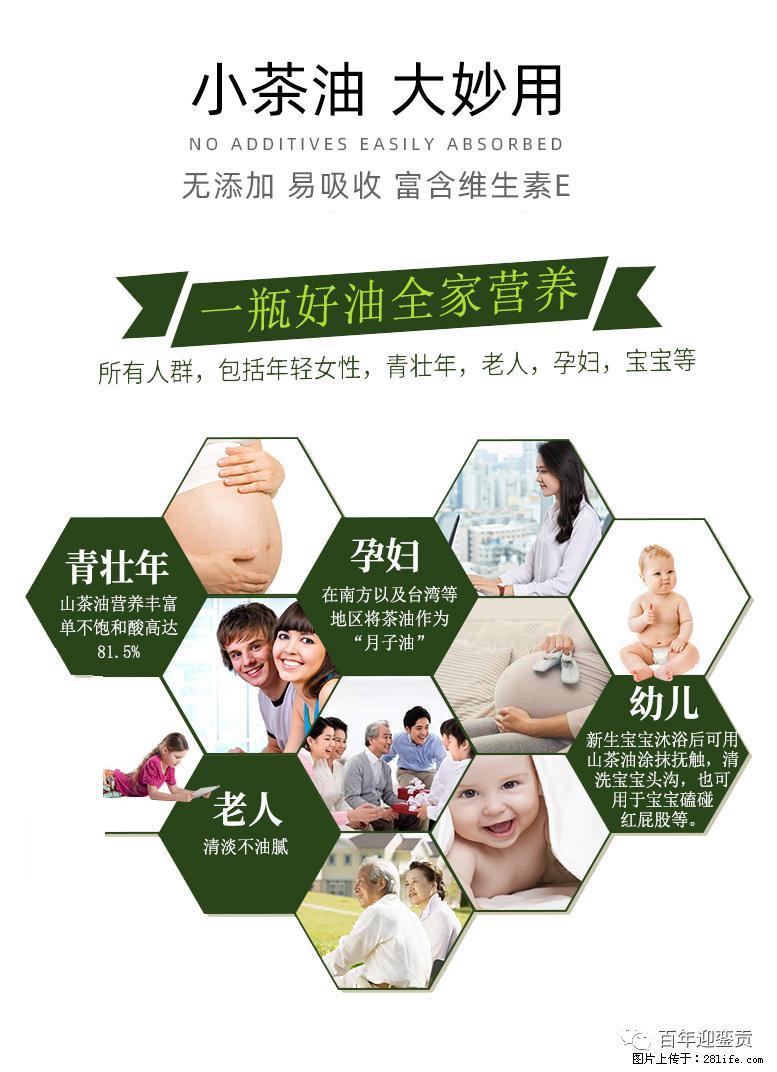 世界没有真相，只有认知，最好的食用油是中国的山茶油！ - 玉林生活资讯 - 玉林28生活网 yulin.28life.net
