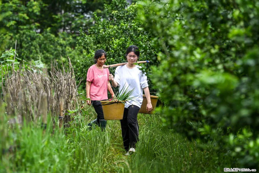 全网追的“扁担女孩”，找了一份暑假工，时薪12元 - 玉林生活资讯 - 玉林28生活网 yulin.28life.net