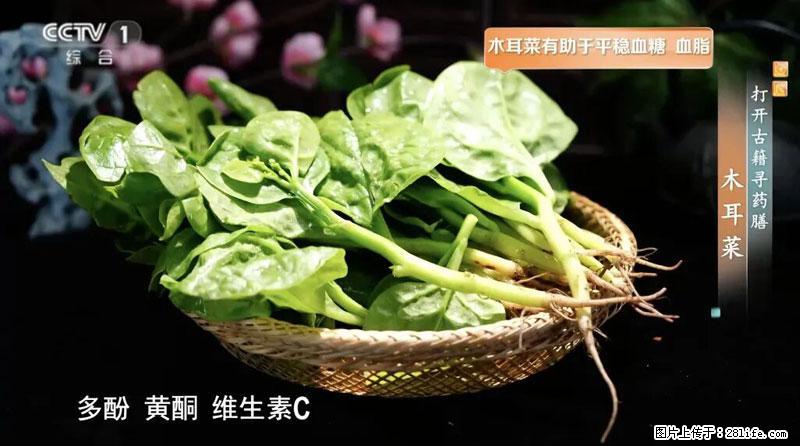 比牛奶补钙还厉害！凉血解毒、稳血糖...这菜冬天必吃，很多人却当草 - 玉林生活资讯 - 玉林28生活网 yulin.28life.net