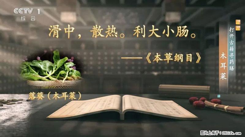 比牛奶补钙还厉害！凉血解毒、稳血糖...这菜冬天必吃，很多人却当草 - 玉林生活资讯 - 玉林28生活网 yulin.28life.net